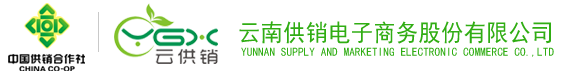 球速體育電子商務股份有限公司